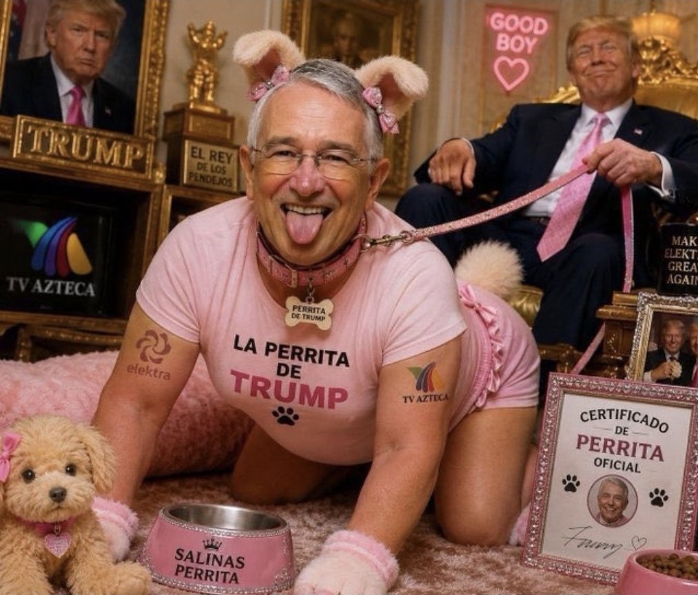 Colibri_1943's tweet photo. @tiopedritosola Pues comienza por envenenar a esta perrita que hace mucho daño a México #LaPerritadeTrump https://t.co/tP6nTiQBQI