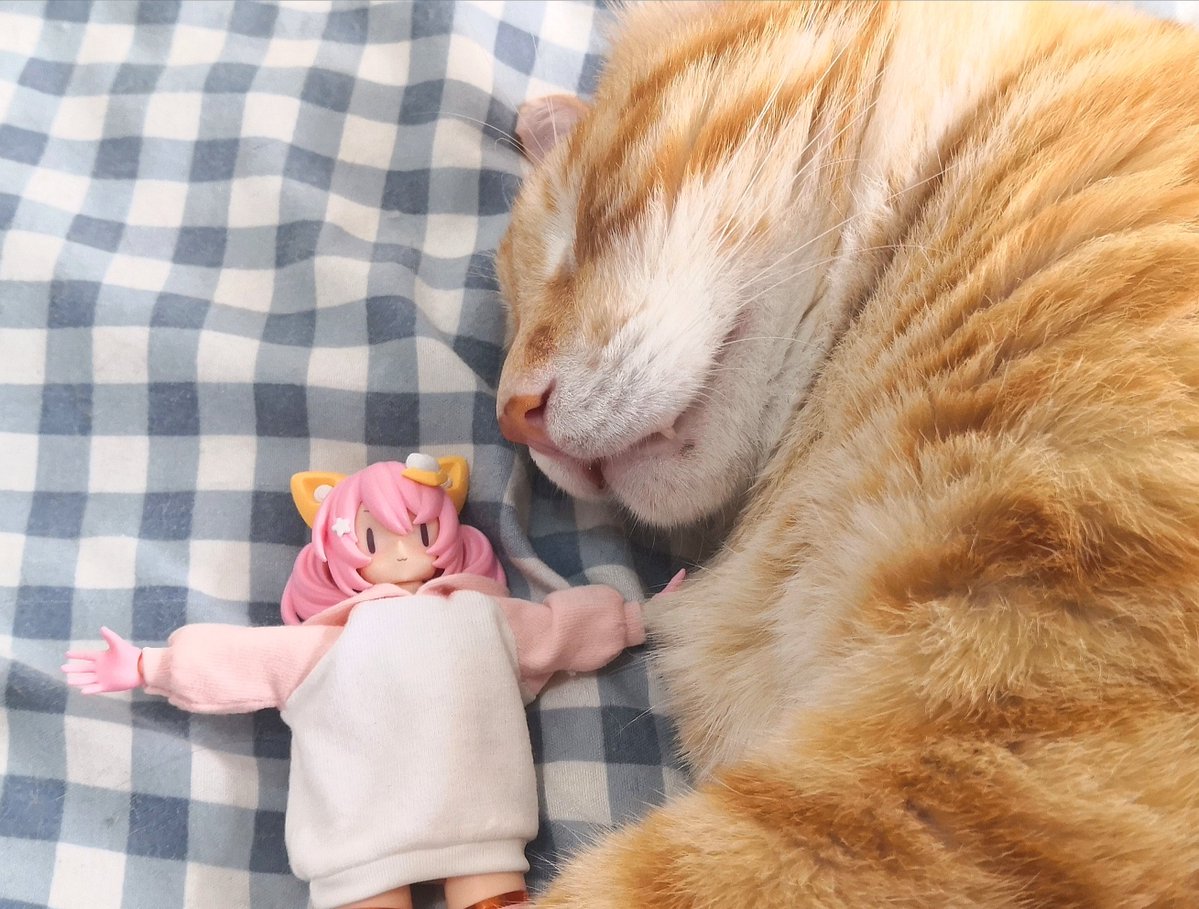GeorgieEggy's tweet photo. 寝る💤 https://t.co/fvapy6Mc1c