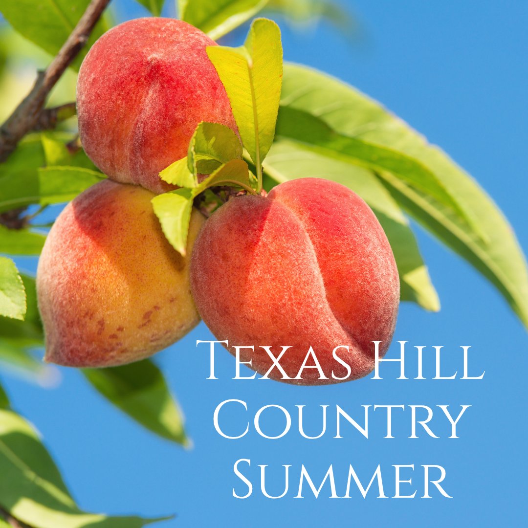 AndreaORealtor's tweet photo. July in the Hill Country — the river's warm, the evenings stretch long, and this place keeps proving why people who find it don't leave. Andrea ONeal, Broker Associate | Fore Premier Properties | https://t.co/gtCs1oSQBh #KerrvilleTX #TexasHillCountry https://t.co/AzYoyMIsQs https://t.co/tx1rfvnH76