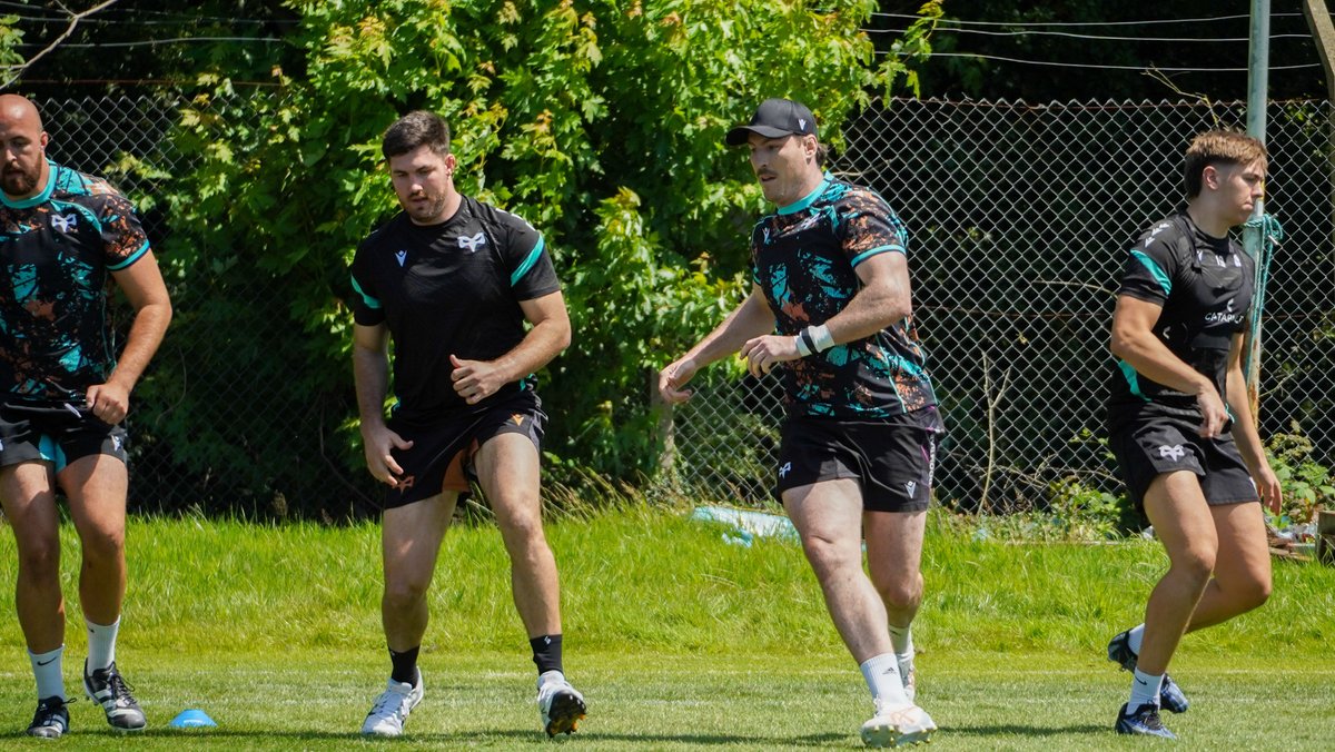 Ospreys tweet media