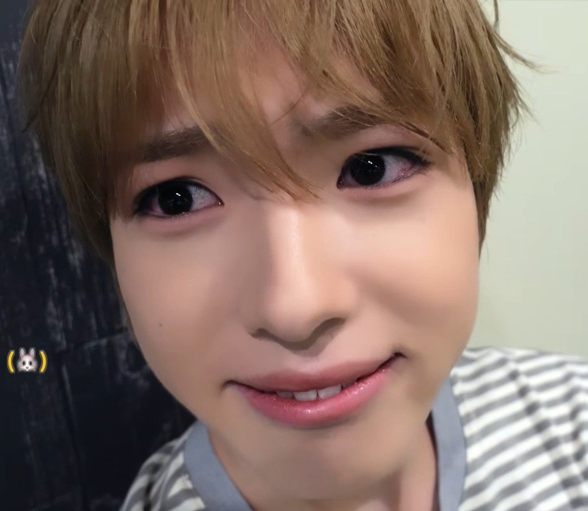 HUHu_c0's tweet photo. 사쿠야 찾아보실분 https://t.co/IFVHeA3BSr