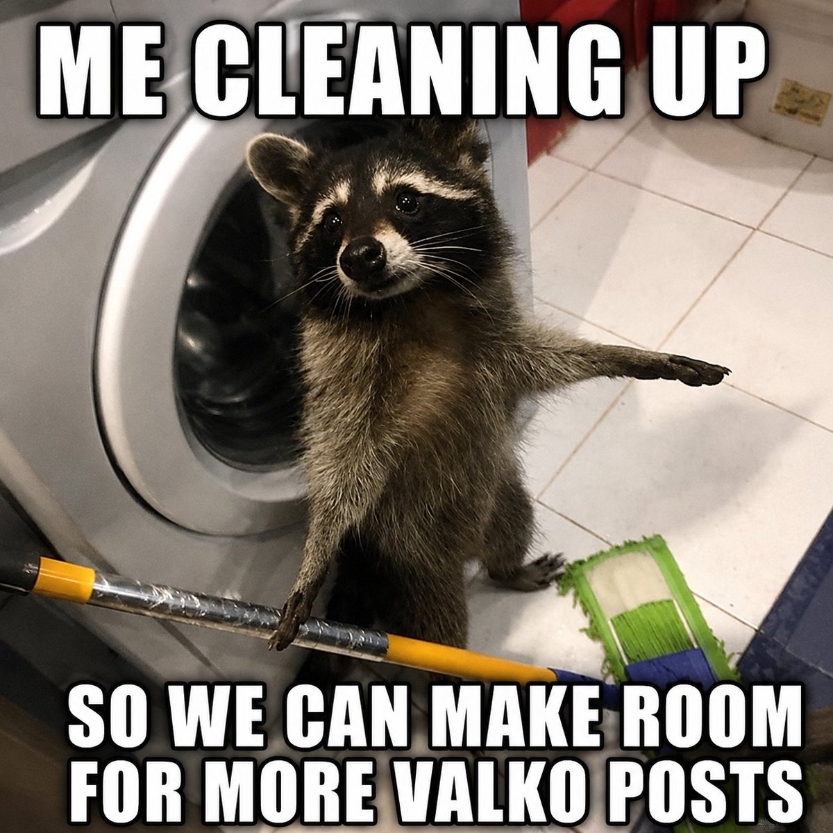 MisaChapters's tweet photo. @peony_pjm I couldn’t have said it better!!

So please accept this new raccoon:

#BringValkoBack #KeepValkoAlive #Valko #JusticeForValko #恋与深空 #SaveValko #BringBackValko https://t.co/g04AOoiUqG