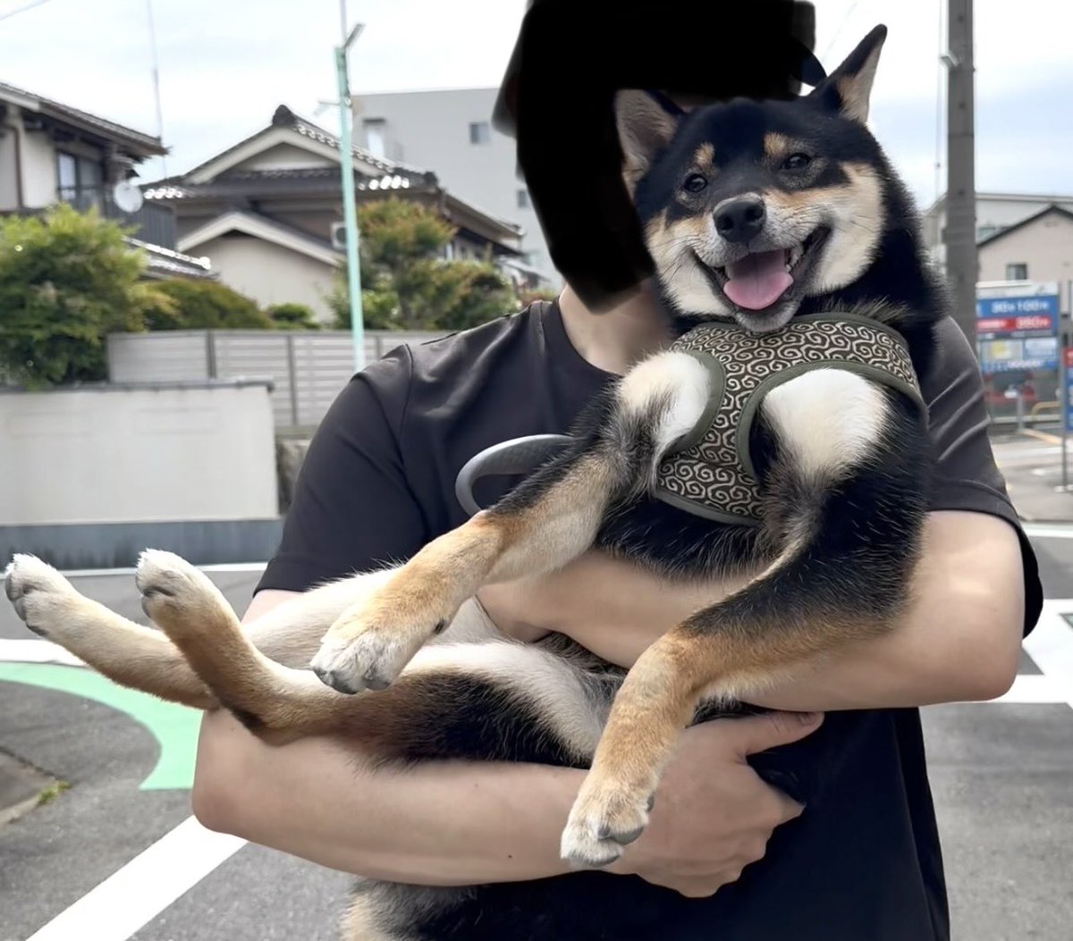 okogenox's tweet photo. この顔である https://t.co/Nmm8cr86oo