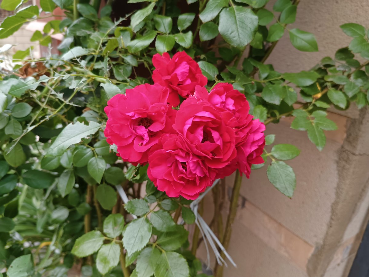 BrunhildeArend's tweet photo. New to photography Start with mastering the rule of thirds! Place key subjects at intersecting grid lines for balanced, eye-catching shots—no fancy gear required. https://t.co/EDkh9kSwQg