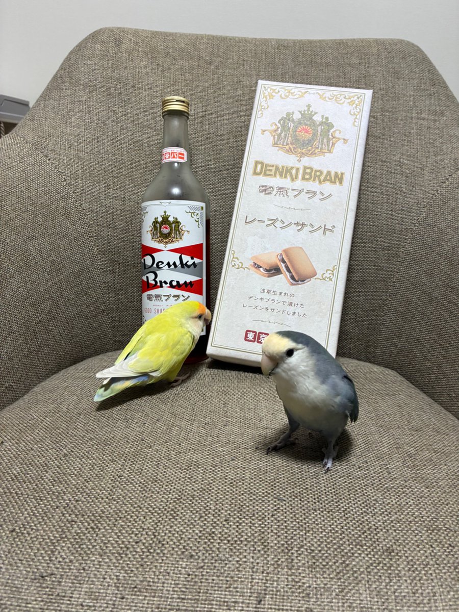 colico_bird's tweet photo. 浅草でゲットした電気ブランと電気ブランレーズンサンド🍇
マフィン💛はカメラ向けるとモデルみたいにいろんなポーズしてくれてたけど、嫌いなモネ🩵がきたらやめてカジりだした😂 https://t.co/uXUvccn58O