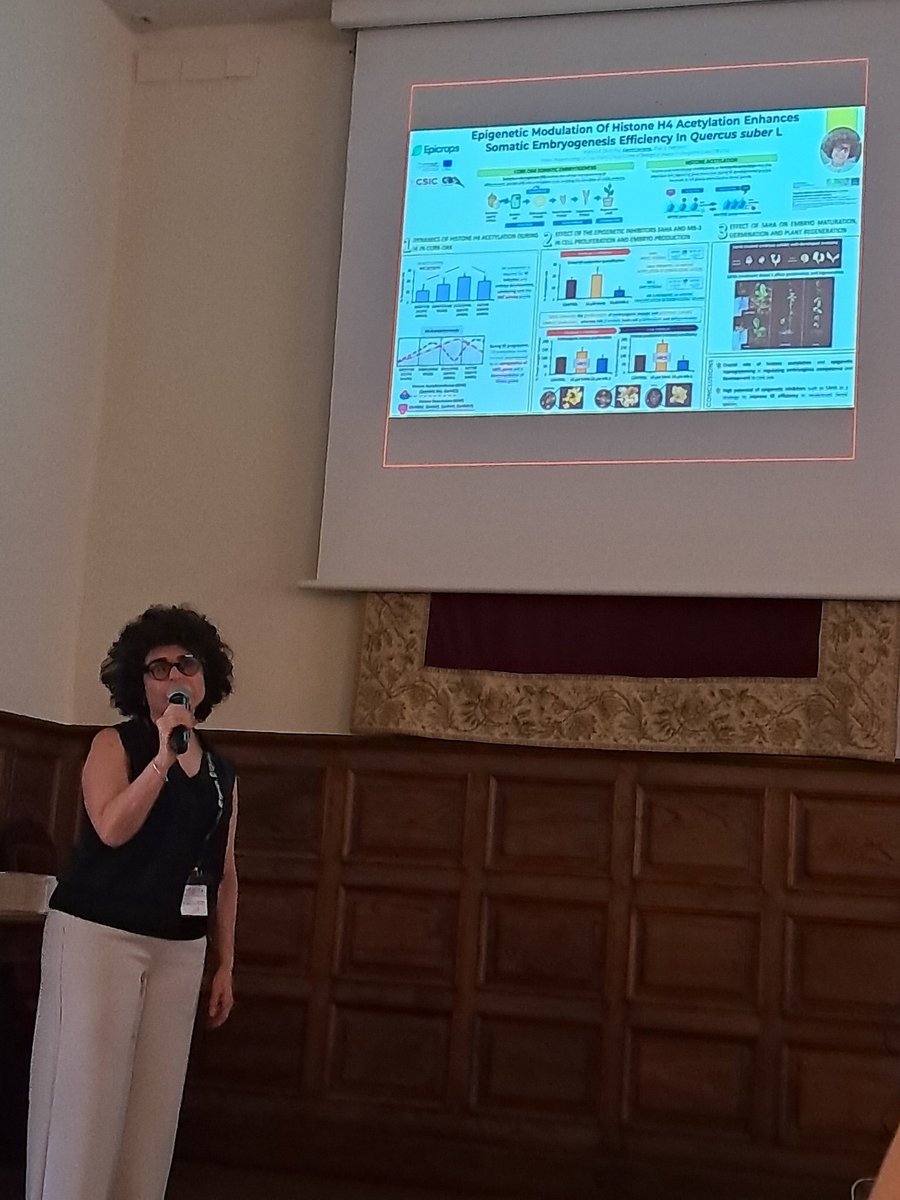 Pilar S. Testillano tweet media