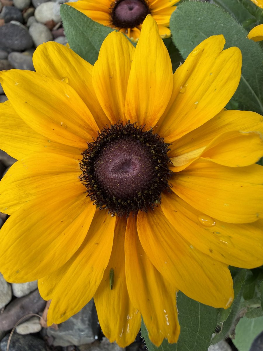 TMPrinting1972's tweet photo. Have a Beautiful Wednesday! @TMPrinting1972 https://t.co/5GsqY67Ieg