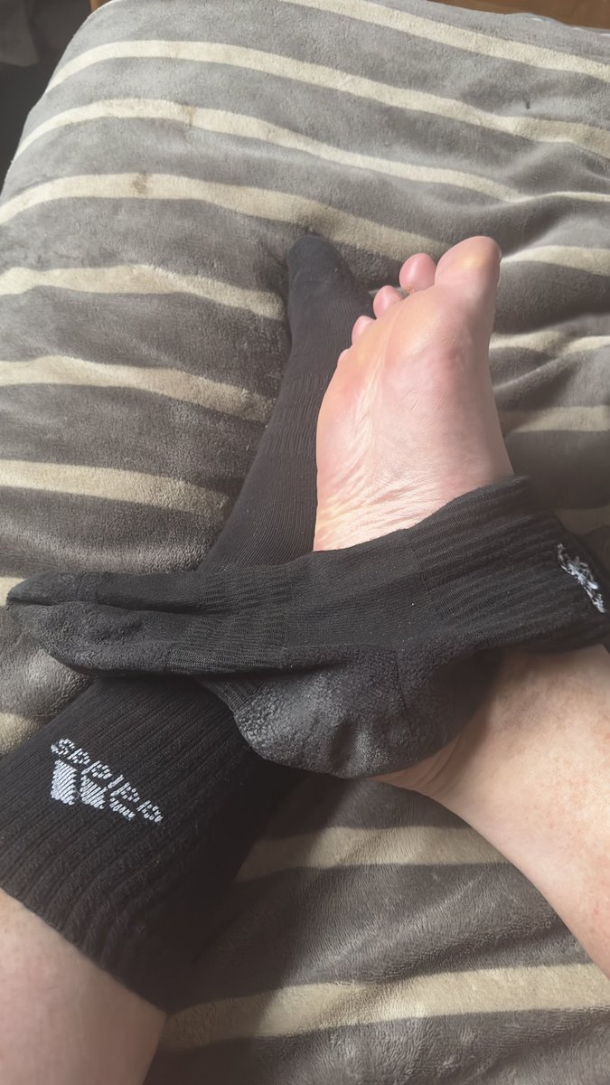 Alphasoles6's tweet photo. This hot weather is treating these the right way! 

So should you! https://t.co/PVIntSWU29
