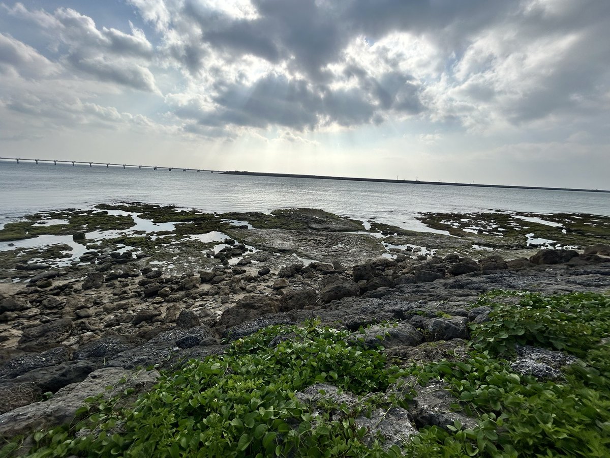 haru07744's tweet photo. 沖縄マジ楽しかった！次は北海道いこかな https://t.co/YOOrndC2yp