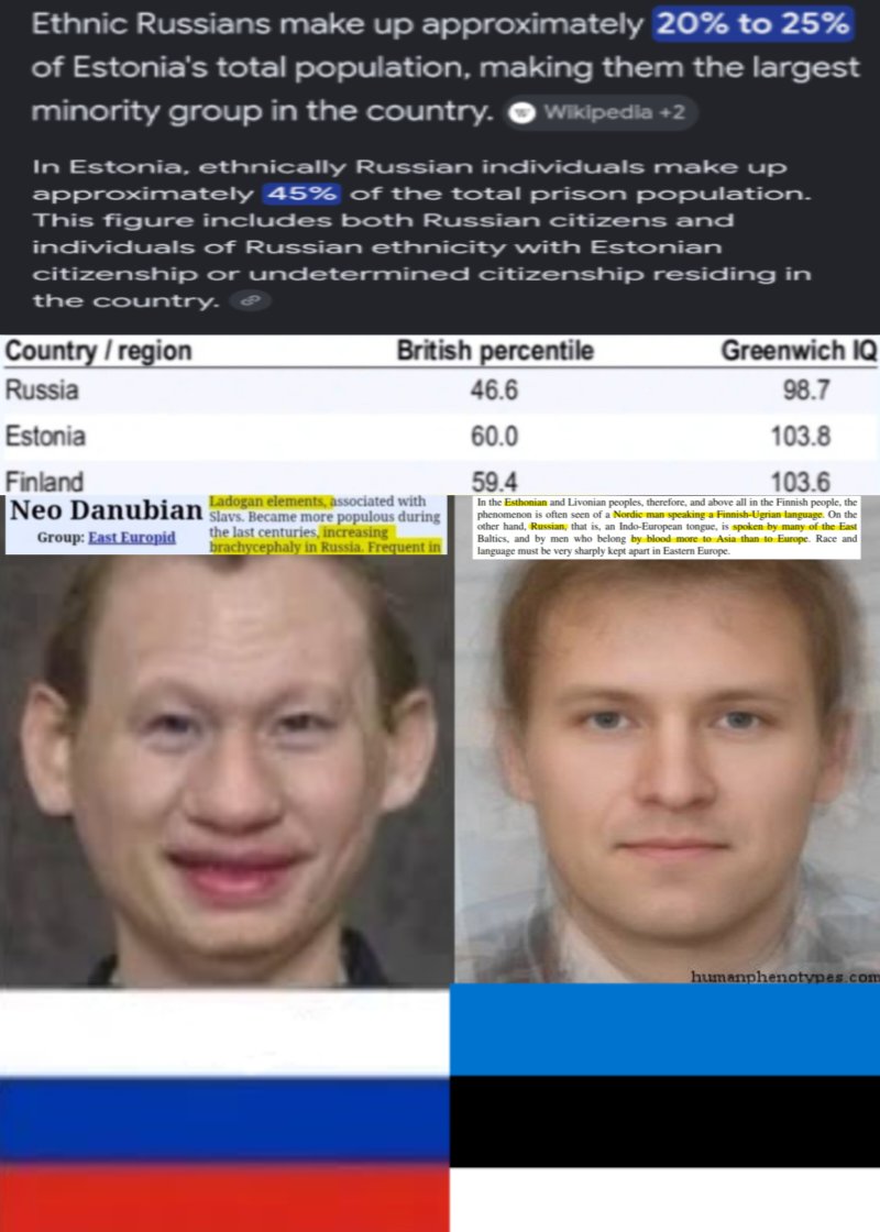 q751812's tweet photo. Apes of Estonia https://t.co/tCOi67MrCq