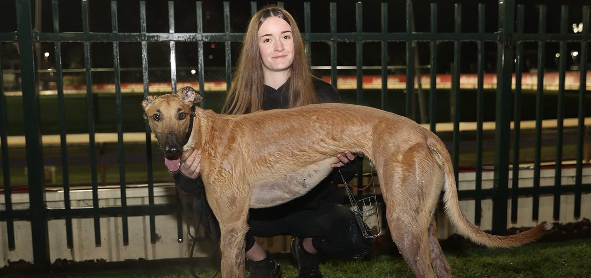 wentyparkgreys's tweet photo. RACING TONIGHT AT WENTY PARK 🐾

Free Entry - Wentworth Park Rd, Glebe   
Wentworth Park Sports Bar - Level 1

New Winter Menu - Pizza, Soup, Roast Beef Rolls, Lamb Shanks, Pulled Pork Burgers 🍔 

First race 7.04pm ⏰ 
#wentworthpark #sydney

📸 Redden Photo Video Race Images https://t.co/yxoMJlooXI