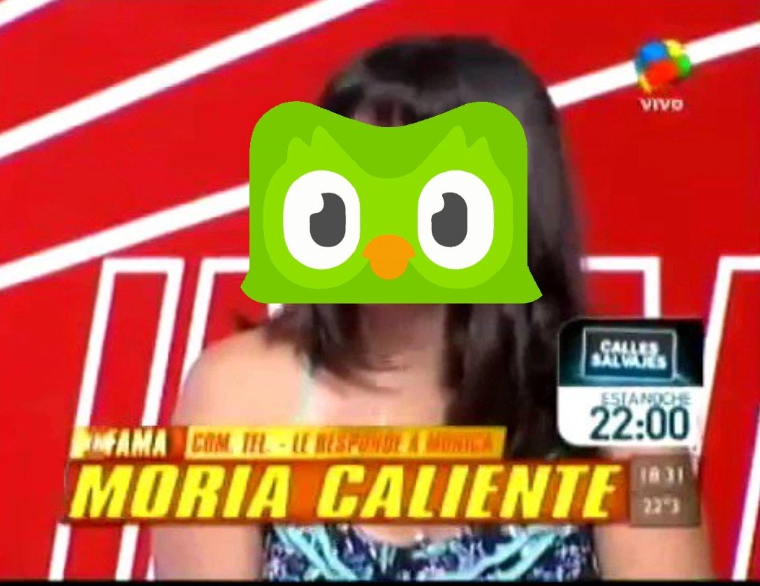 parripoyo's tweet photo. @DuolingoBrasil cómo se dice en portugués soy una atrevida caradura que quiere fama? ya https://t.co/lfbuHMLOJc