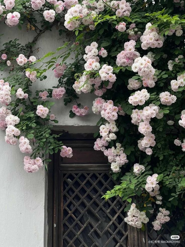 gardeniavibe's tweet photo. https://t.co/EPWWMw7ULe