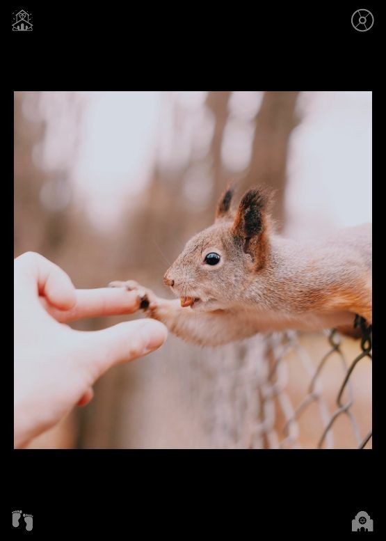 SkylineScenes's tweet photo. Banana with chocolate. Puppies remain eternally curious about life's small novelties, which brings constant joy to their everyday existence. https://t.co/N2s78IZlBI
