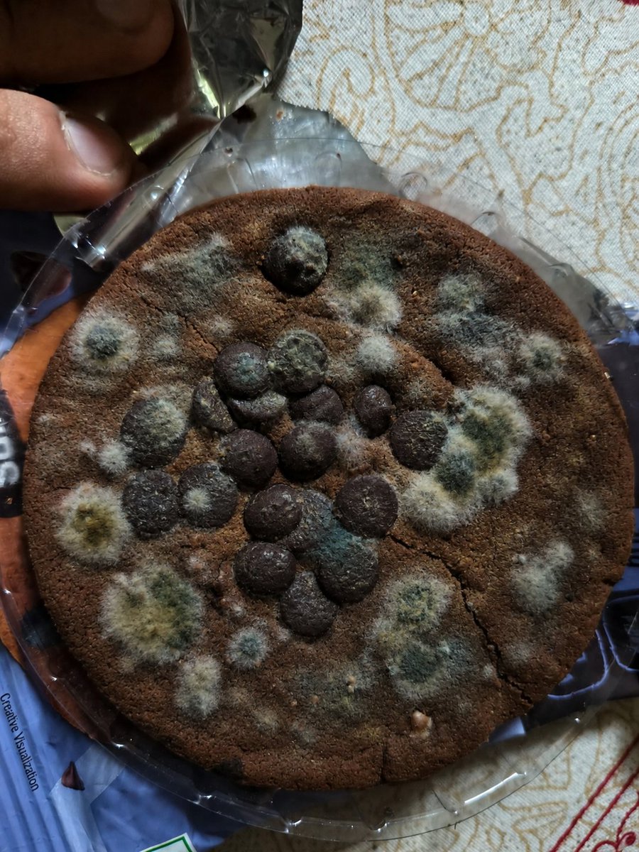 Monojitr1994's tweet photo. Ordered a 3 Cookies Combo from @Swiggy Instamart and this is what I received. 😒 In the middle of the rainy season, how does something like this happen inside a sealed package? Is there no quality check before dispatch?This is completely unacceptable.@SwiggyCares https://t.co/5hXaO94STC