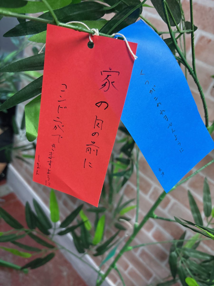 ___p20_'s tweet photo. ギリ叶いそうなお願いごとたち https://t.co/cAWR51gD43