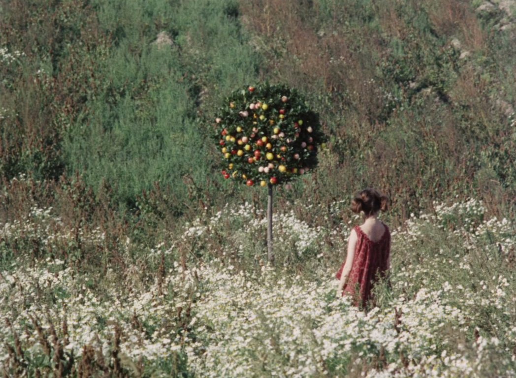 cinesighs's tweet photo. daisies (1966) dir. vera chytilova https://t.co/86Qcb6aRrn