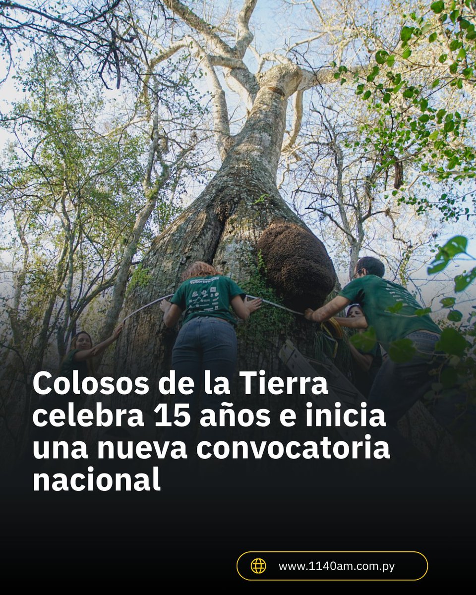 centralradiopy's tweet photo. 🟢 La organización A Todo Pulmón Paraguay Respira @atodopulmonPY lanzará este 9 de julio la 15.ª edición de "Colosos de la Tierra", considerada la campaña ambiental más grande de la región, con el objetivo de promover la conservación del patrimonio natural y fortalecer la conciencia ambiental en todo el país.

Las postulaciones estarán habilitadas a través de https://t.co/NryaSeXhLl e incluirán las categorías Árbol más grande del Paraguay, Árbol más grande de las Áreas Silvestres Protegidas, Árbol de mi comunidad, Árbol de mi escuela y Mejor fotografía de naturaleza.

🌴 Desde su creación en 2012, la iniciativa ha registrado más de 4.000 árboles postulados, consolidando una red de participación ciudadana que involucra a comunidades, instituciones educativas, organismos públicos, empresas y medios de comunicación en favor de la protección de los árboles y la biodiversidad.

➡️ Inscripciones: hasta el 12 de agosto. Expediciones: septiembre. 
🏆 Premiación: 8 de octubre.

#1140AM📻
