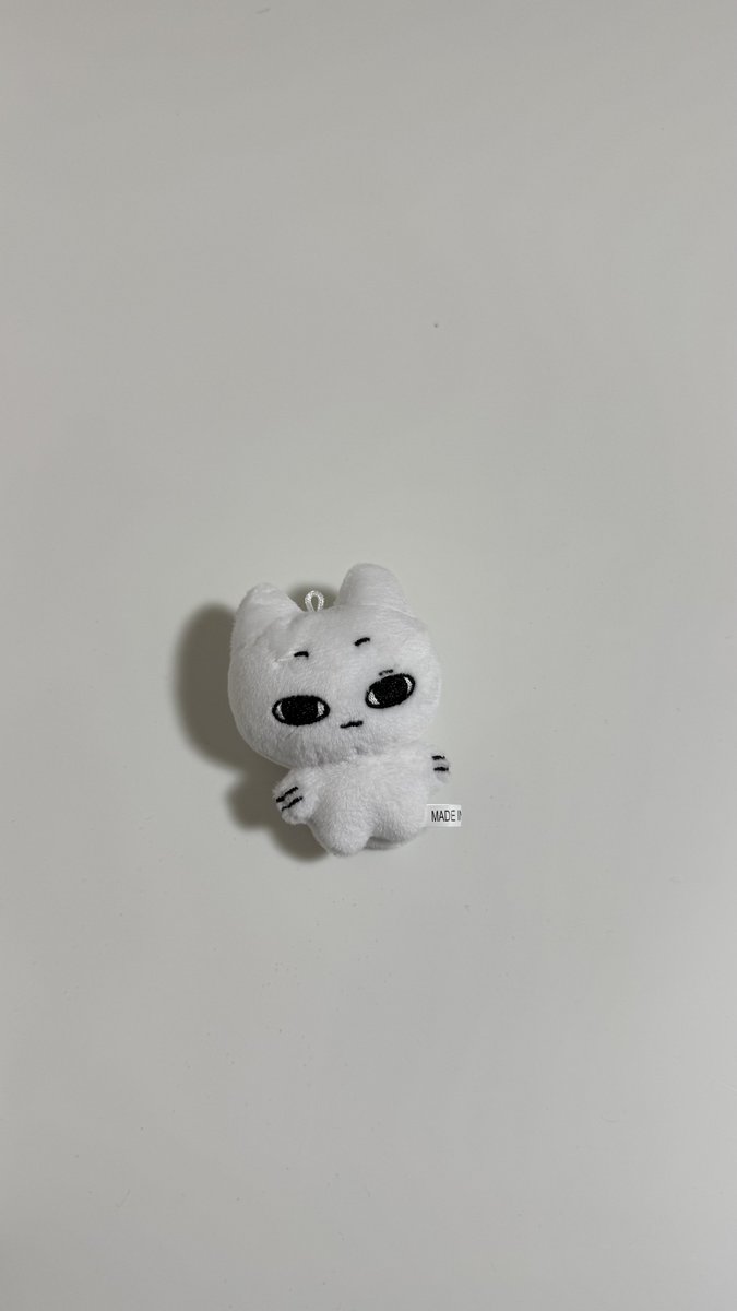 sungho_chan's tweet photo. 念願の子届いた。色んな所に連れ回すからね https://t.co/NeL5D35SDp
