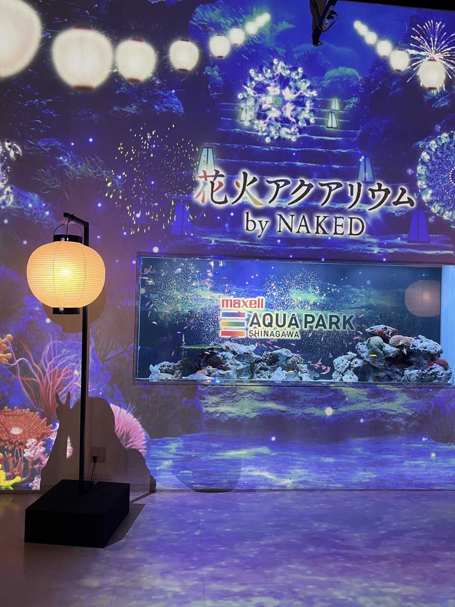 26_0917's tweet photo. 2026になってやっと行けた。
やっぱり水族館はいいなぁ。 https://t.co/HSnj01PXFV