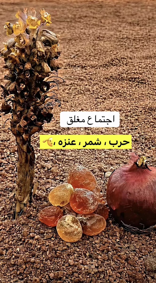 da5o_'s tweet photo. اللي بالنص حجر العقيق صح ؟ 😅 https://t.co/kEy8ev9csQ