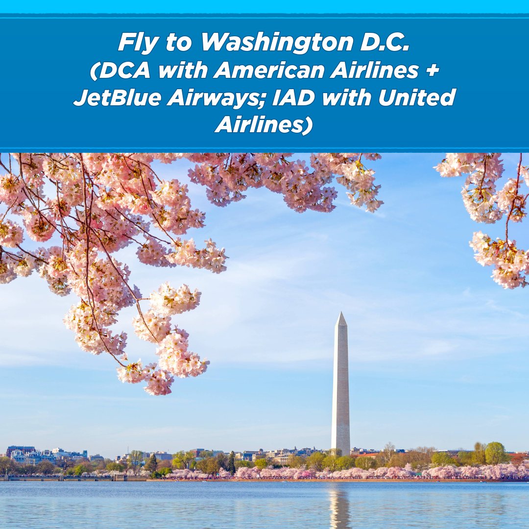 fly_DJT's tweet photo. If you’re craving a mix of classic New England charm and historic landmarks, your next adventure is just a non-stop flight away. PBI connects you to some of the most iconic destinations on the East Coast!

#FlyPBI https://t.co/iqatxCq5iu