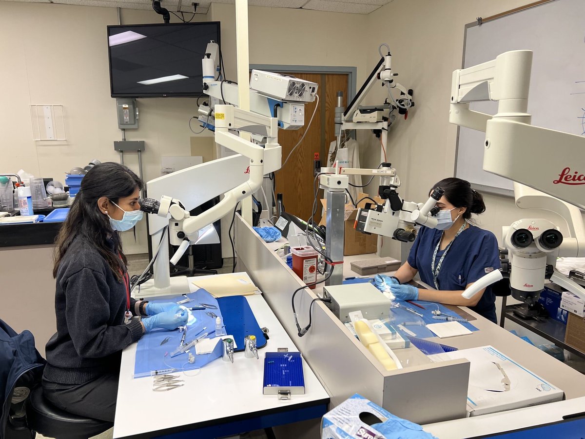EversightVision's tweet photo. Knowledge is power—and in 2025, Eversight shared it widely. We delivered 76 training sessions to nearly 800 professionals. Behind every surgery is a skilled clinician who goes on to help countless others. Learn more: https://t.co/fFX1O43DHb

#EversightImpact #YouChangeLives https://t.co/o4rpAr3iOP
