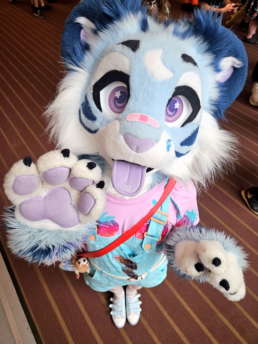 KayKlinck's tweet photo. High Paw!! 🐾😛 https://t.co/Q19k0uUTL0