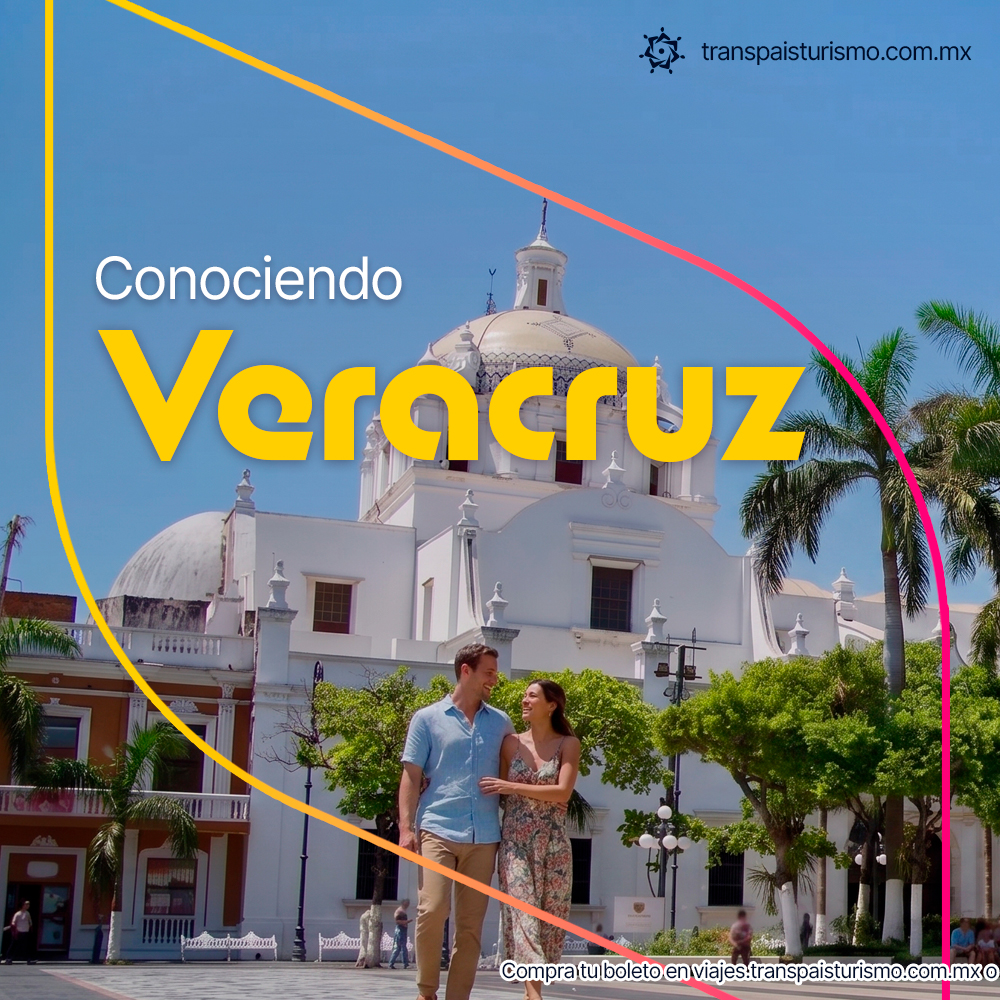 TranspaisTurism's tweet photo. Conociendo Veracruz. 🦀🏖️

Comenzamos esta aventura saliendo de Ciudad Valles, el 21 de agosto a las 10:00 PM. 🚌

Recorre el Malecón, conoce el histórico Fuerte de San Juan de Ulúa , visita el Acuario* 🐠, disfruta del ambiente del Zócalo... https://t.co/36KDAXAsn9