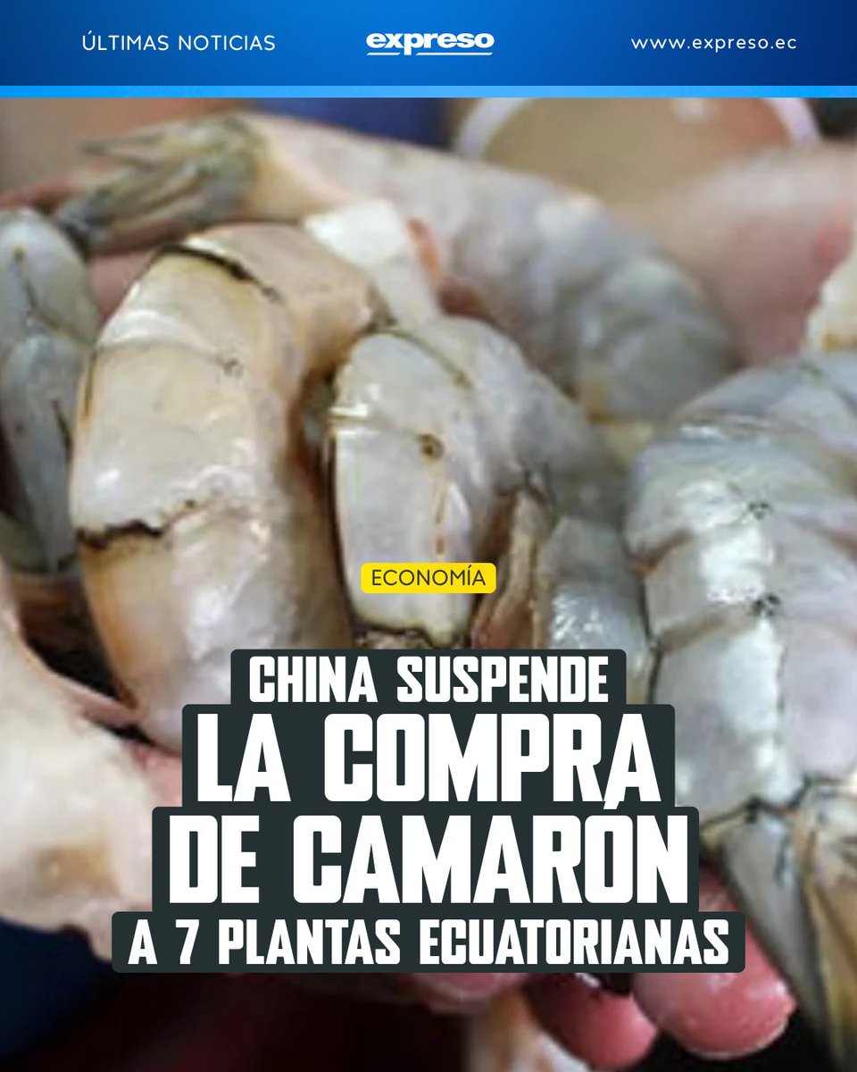 Expresoec's tweet photo. La autoridad sanitaria de China notificó al Gobierno de Ecuador la decisión de dejar de comprar camarón a 7 plantas ecuatorianas.

¿Por qué? 👉 https://t.co/icnE7ACGK5 https://t.co/AnnYncbj8B