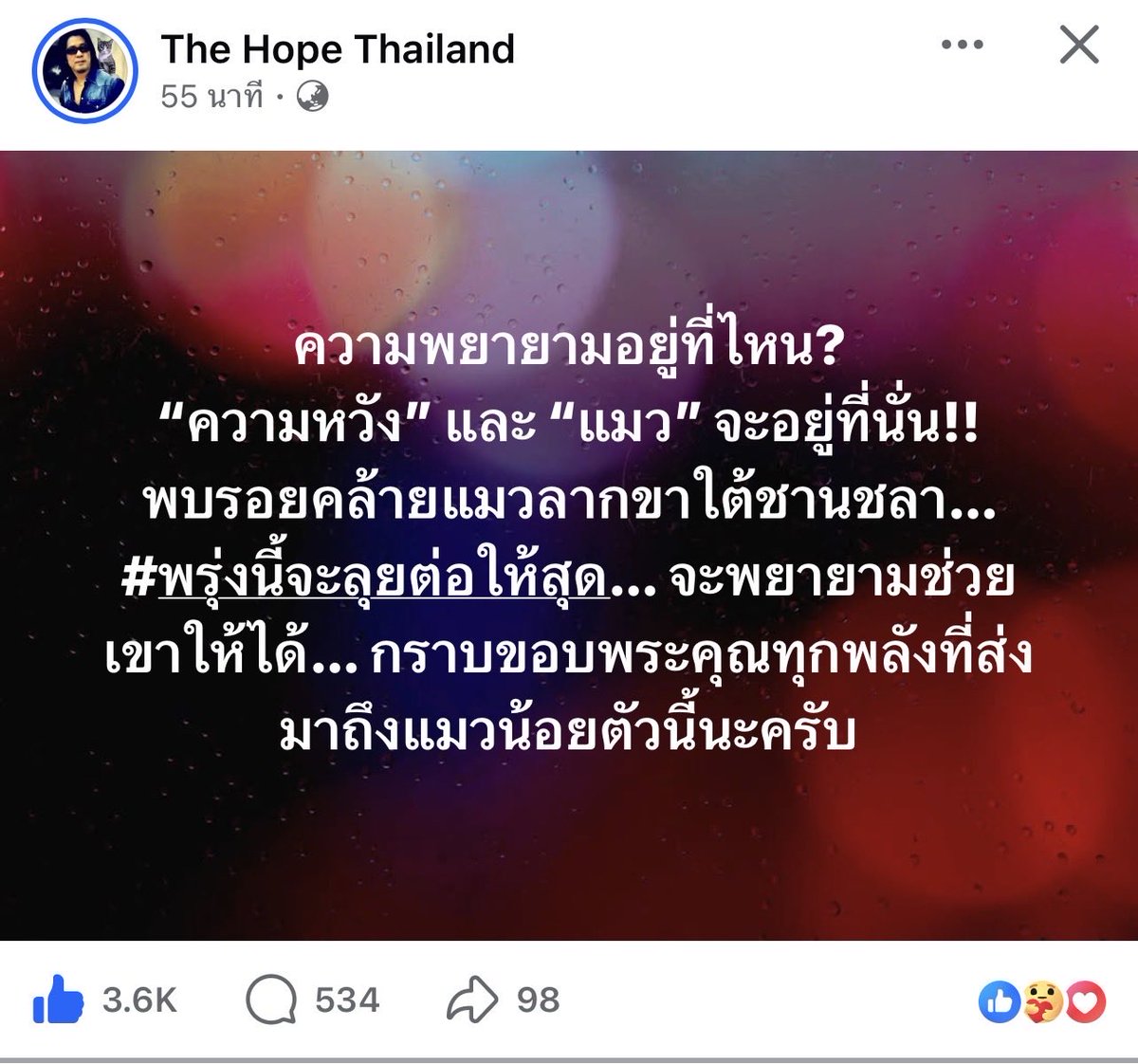 Pawinna2's tweet photo. แค่พบร่องรอยก็ดีใจแล้ว ฮืออ ขอให้พบน้องจริงๆ ทุกคนทำงานกันหนักมาก เราติดตามตั้งแต่น้องหายเลย เป็นห่วงมาก 🥹🥹 #แมวหายบนรถไฟ #แมวหาย #ชุมพร https://t.co/wG8cb5pRve
