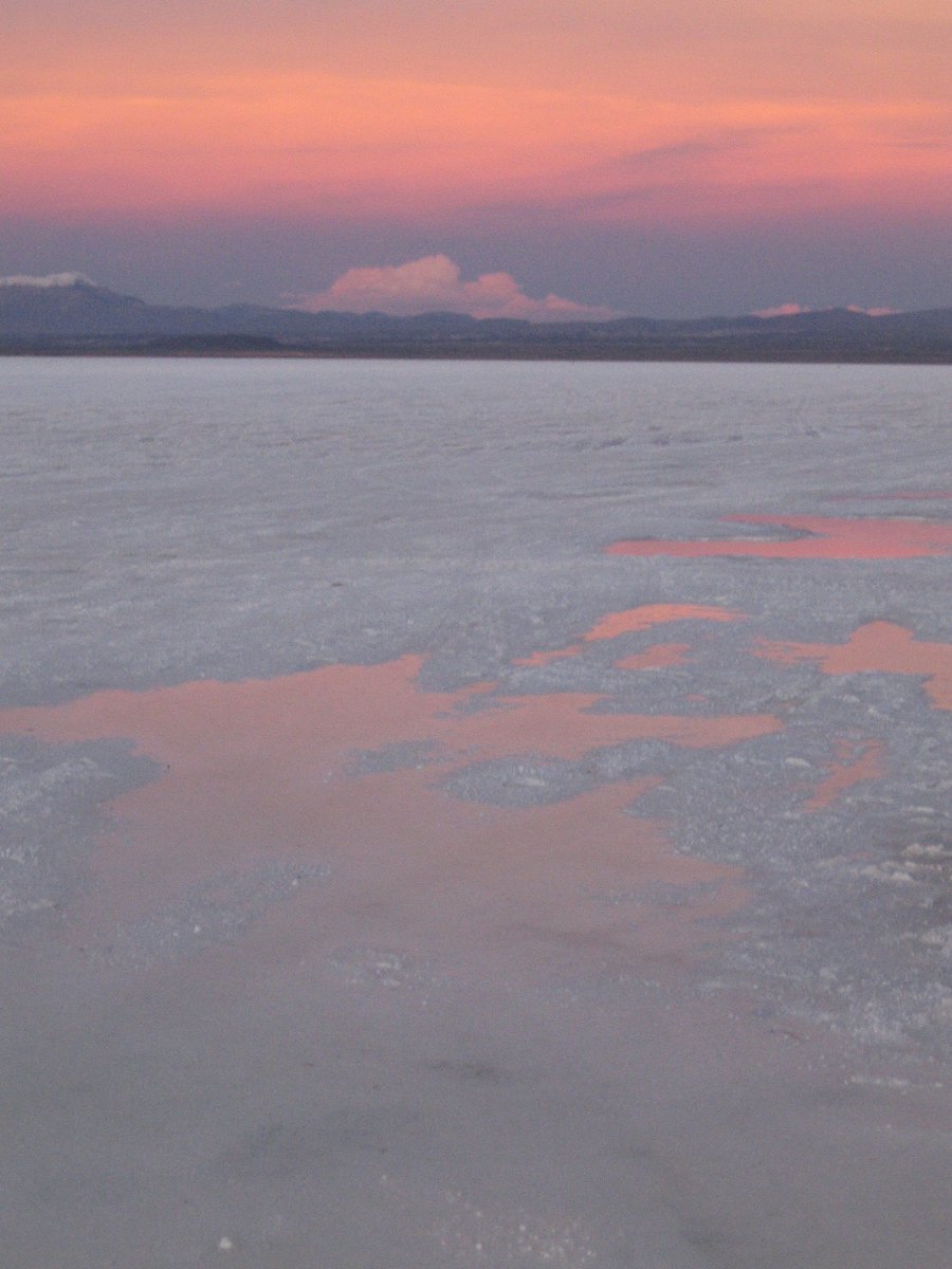 soundforest5's tweet photo. Lithium Evening, 2006. https://t.co/wA76k5ajEM