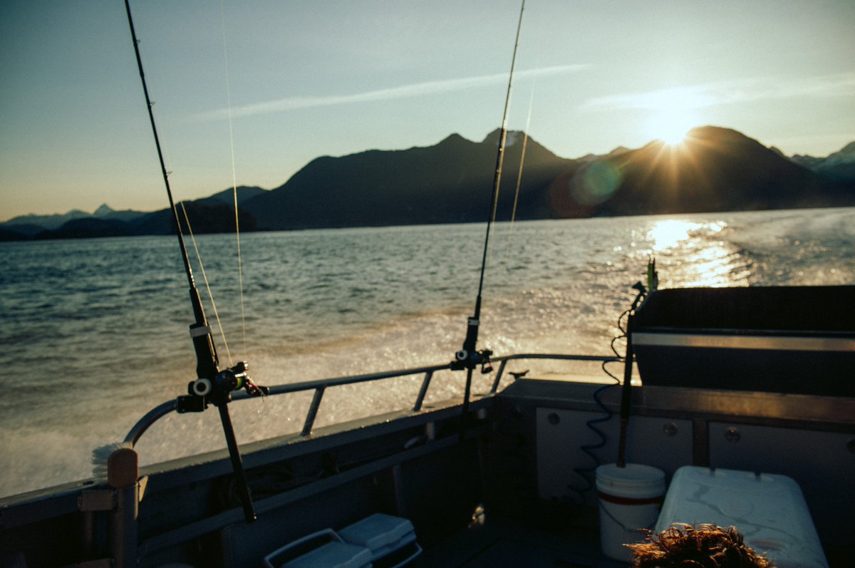 JakeChams's tweet photo. Photos from a fishing trip in Alaska https://t.co/Pa8NPeSIL4