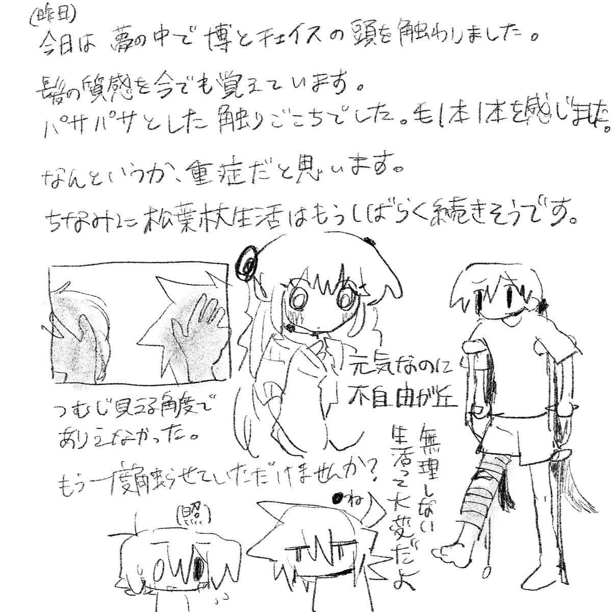 pimaraiku2's tweet photo. https://t.co/lZyF9Q65ex