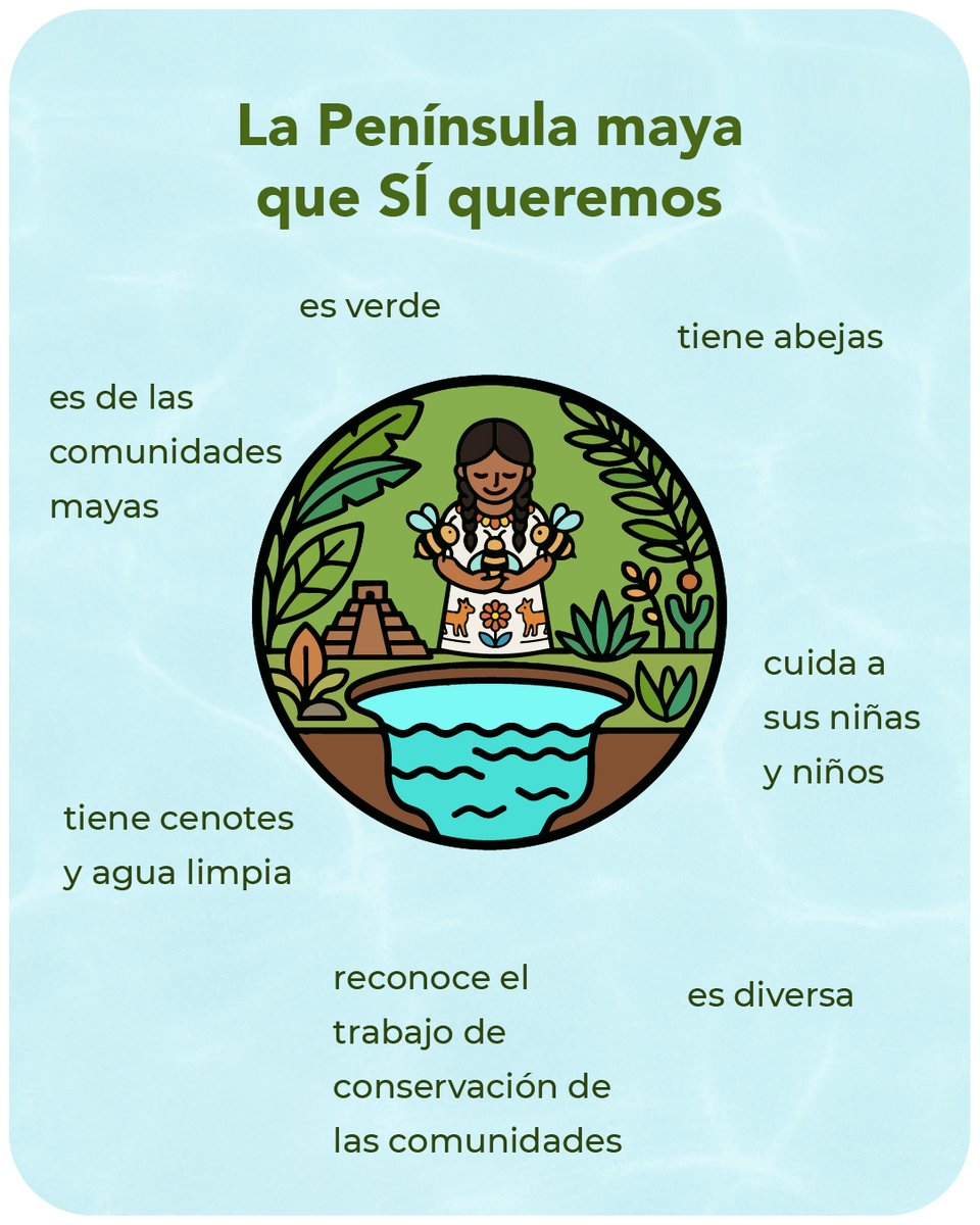 Utsil_Kuxtal's tweet photo. La península de Yucatán siempre ha sido reconocida por su diversad, por sus selvas, sus hermosos cenotes y la riqueza cultural maya.

Pero hoy, toda esa belleza está en peligro ⚠️ https://t.co/Y575N7cJSL