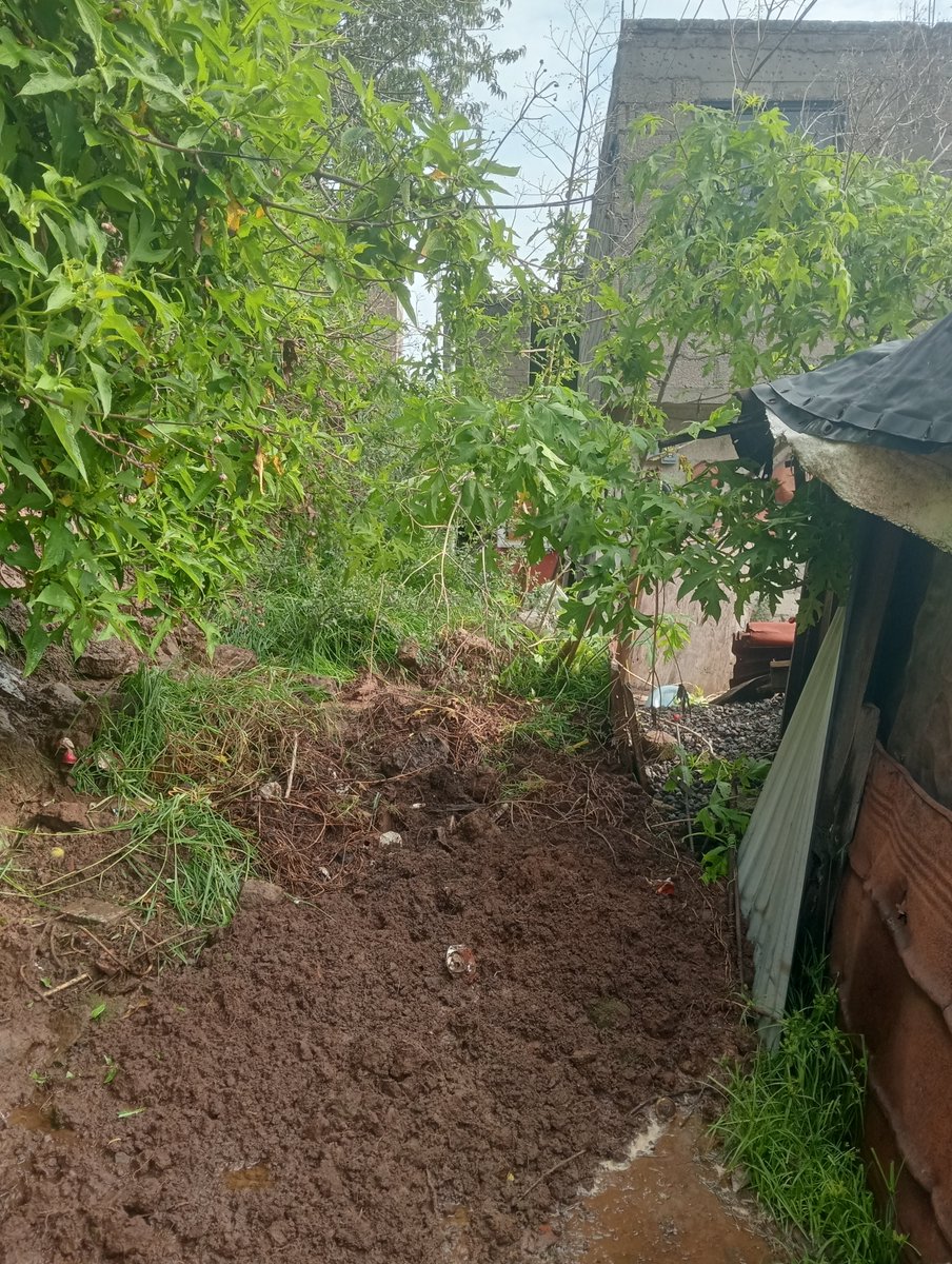 ERMARIANN's tweet photo. 🆘 🚨Las lluvias de ayer generaron un deslave de tierra y lodo en la calle de Pino Suárez en Santiago Yancuictlalpan, 4 familias afectadas, el paso quedó totalmente obstruido, Adultos mayores requieren el apoyo para limpiar toda esa tierra. ⚠️Se requiere ayuda⚠️
@RominaCDV https://t.co/U3wncZThZR