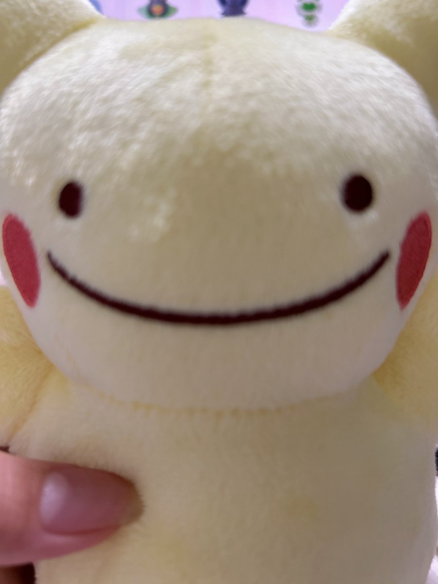 mitokage2's tweet photo. もちろん全部買うよね？（圧）
#ポケモン https://t.co/Zf6ShOQU7E