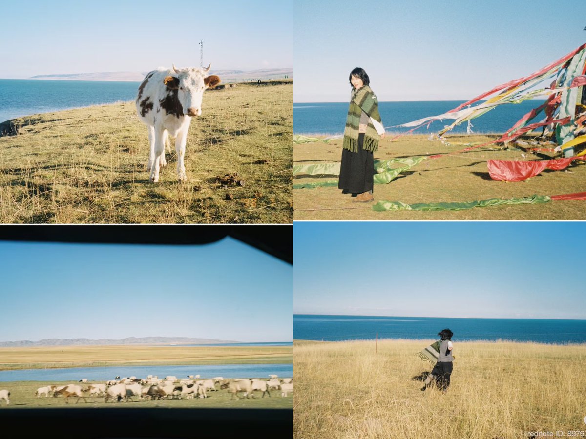lalalongfilm's tweet photo. Olympus superzoom 80g น้องๆ mju หายากสภาพสวยมาก 

ꕤ เต็มระบบ
ꕤ เเฟลชทำงานเปิด/ปิด
ꕤ เลนส์ซูมคุณภาพระยะ 38-80mm 3.7-9.5 /auto focus
ꕤ สาย Olympus  ให้ภาพดีงามแน่นอน
ꕤ ตั้งเวลาถ่ายได้ / พิมพ์วันที่ลงภาพได้
ꕤ ใช้ถ่าน cr123a 1ก้อน 
ꕤ ใช้ฟิล์ม 135\35 หาได้ทั่วไป

• ราคา 2990  ส่งฟรี🧺
 #กล้องฟิล์ม