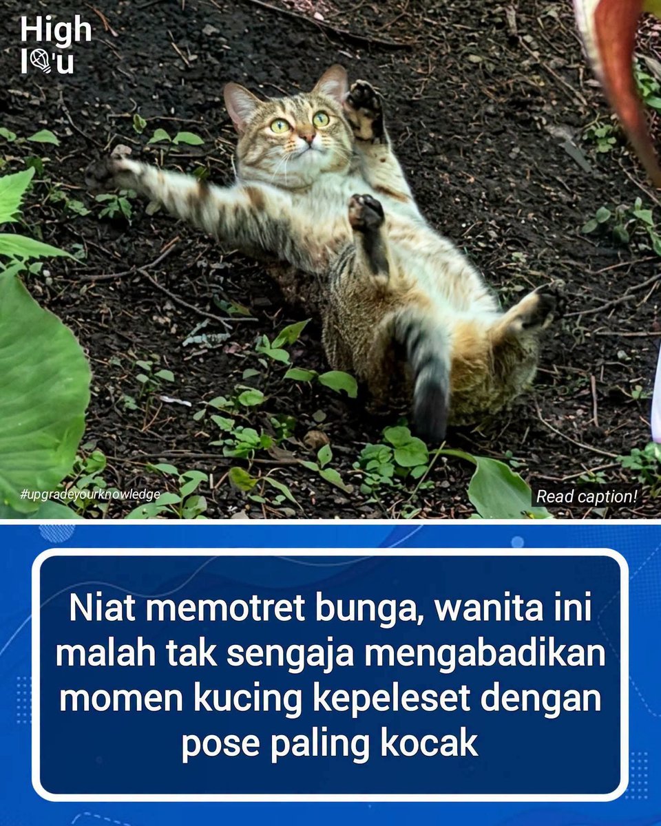 KucengTerbanggg's tweet photo. Fyu https://t.co/NCURa1hTKf