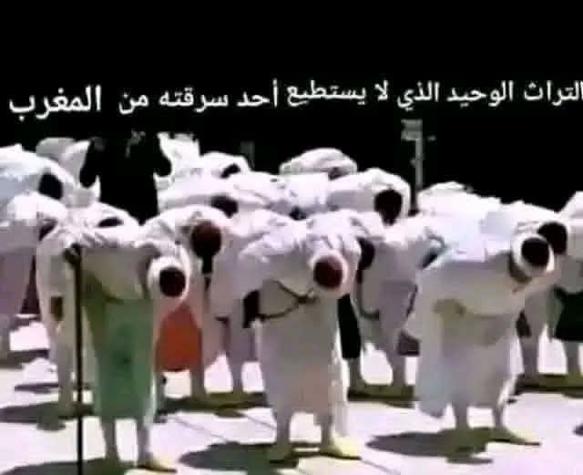 hamza chlef tweet media