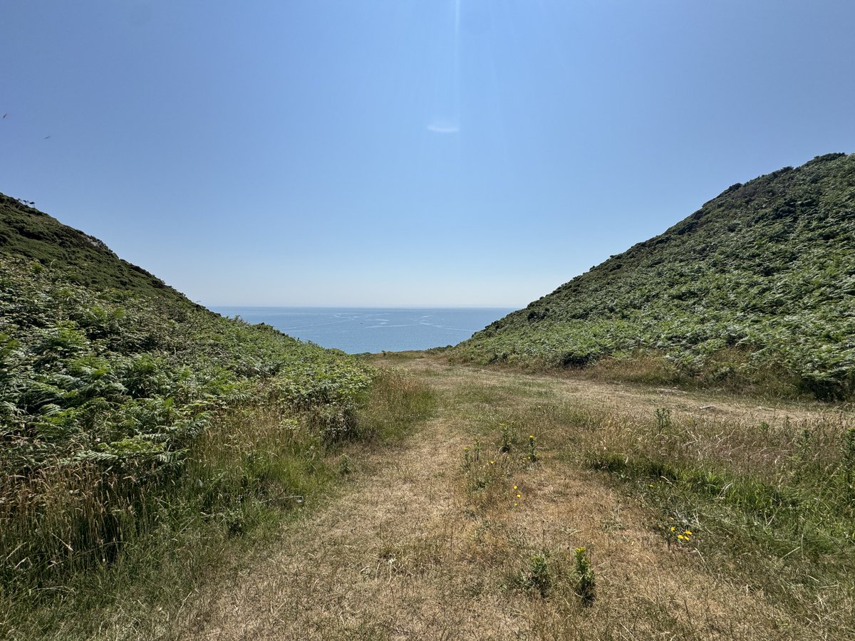 pigginl's tweet photo. Nice 7 mile coastal walk in beautiful Abersoch. What a place 😍 https://t.co/0uHvb39PHZ