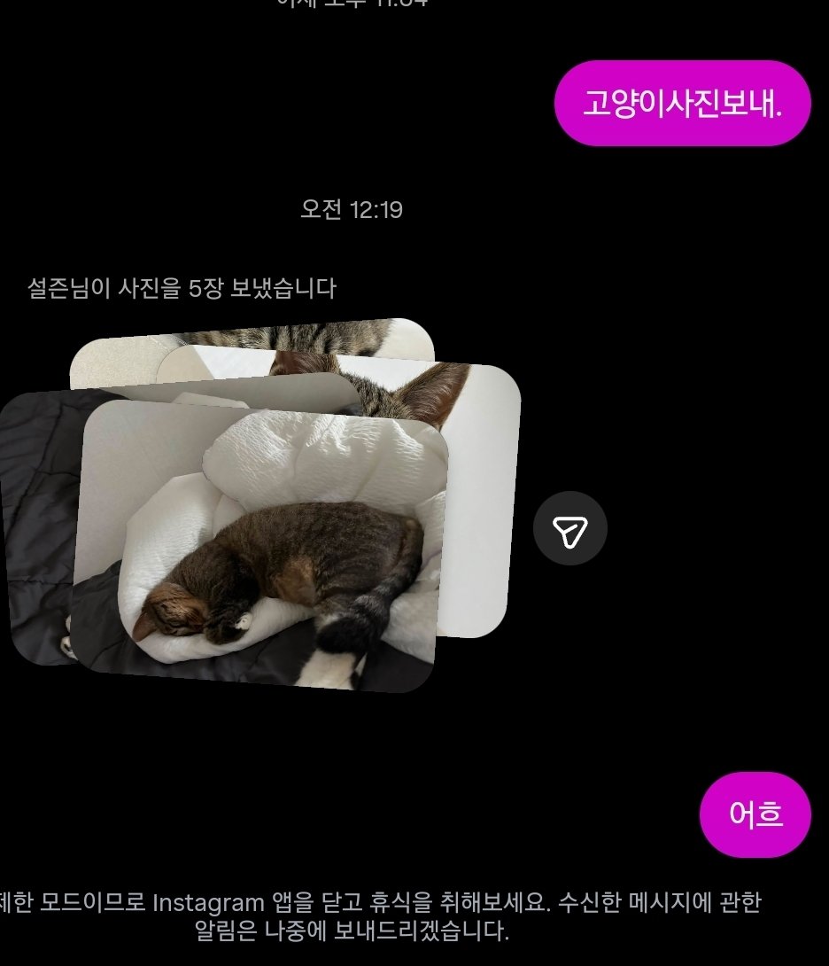 sokwork3790's tweet photo. 나도 고양이 제발.. https://t.co/Xy8UsRCadB