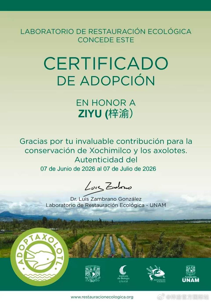 playfulfishhh's tweet photo. Ziyu birthday projects from Mexico Yuni -  Ofc 

https://t.co/IE8Z4OPila

#Ziyu #Yuni https://t.co/52bE2Tqama