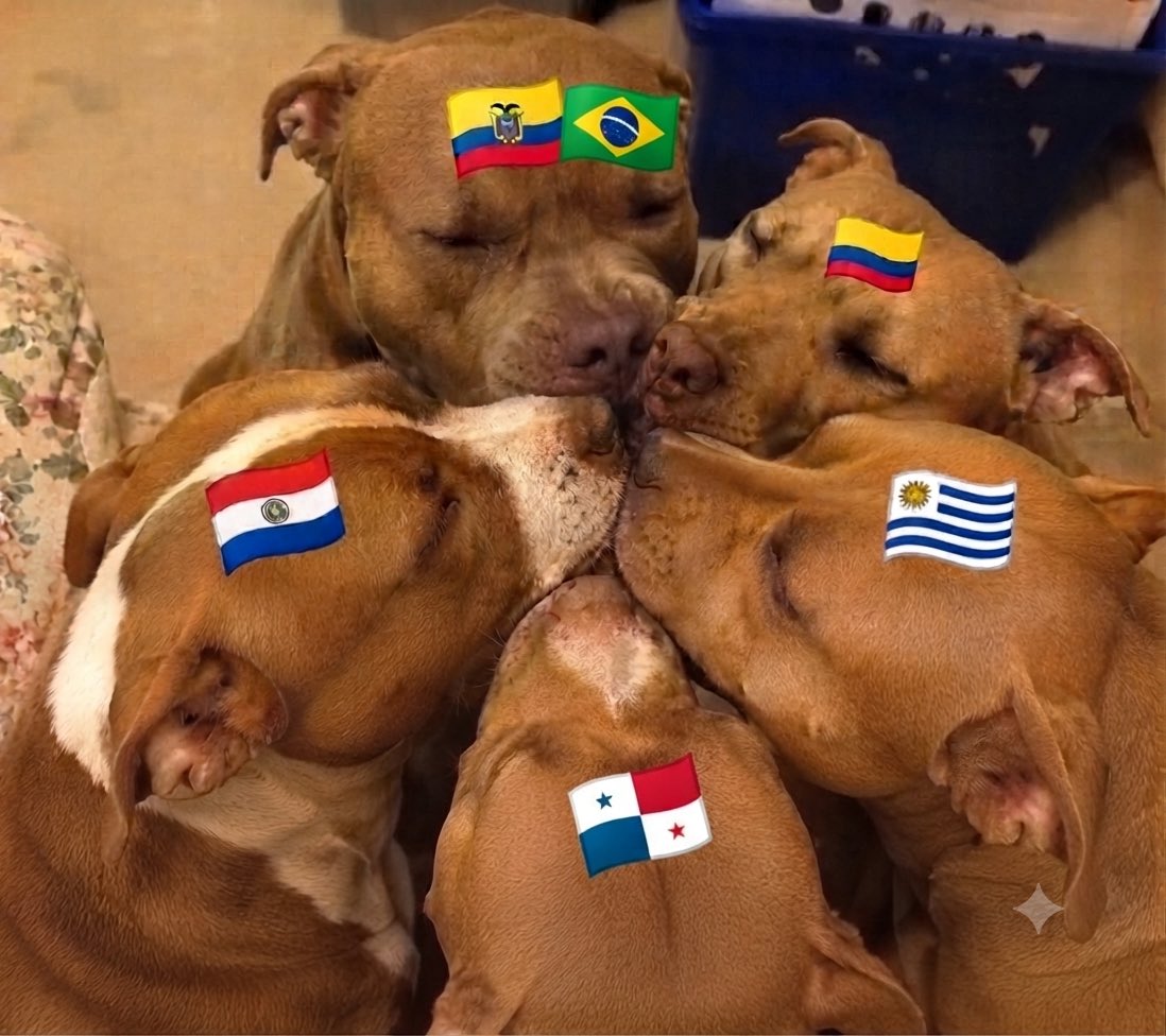 bluvoire's tweet photo. me faltó panamá 😭 https://t.co/NJ2yUTUuSt