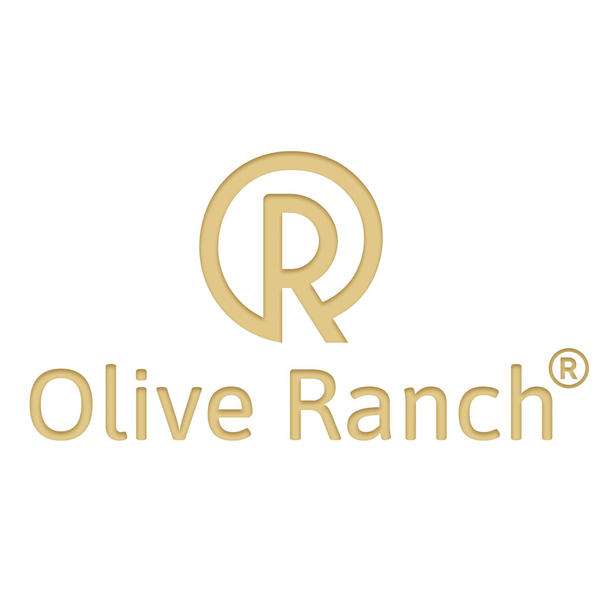 Olive_Ranch_'s tweet photo. Every harvest begins with a single decision, to prepare the soil with care.

Great farms are built one season at a time.

https://t.co/4ktrm7fJ3a

#OliveRanch #Agriculture #FarmLife #SustainableFarming https://t.co/XS0rD4mxMC