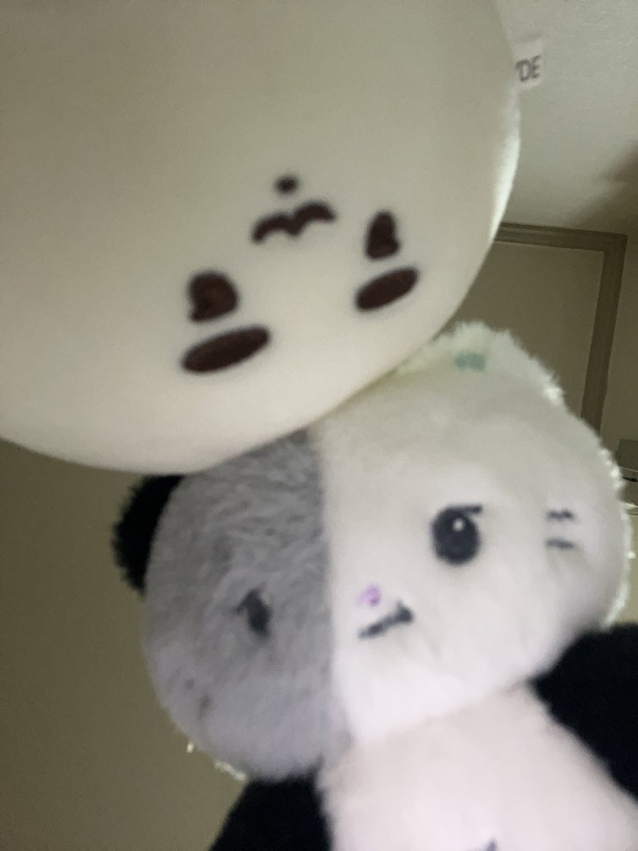 enuiioo's tweet photo. https://t.co/gOx9wfzJin