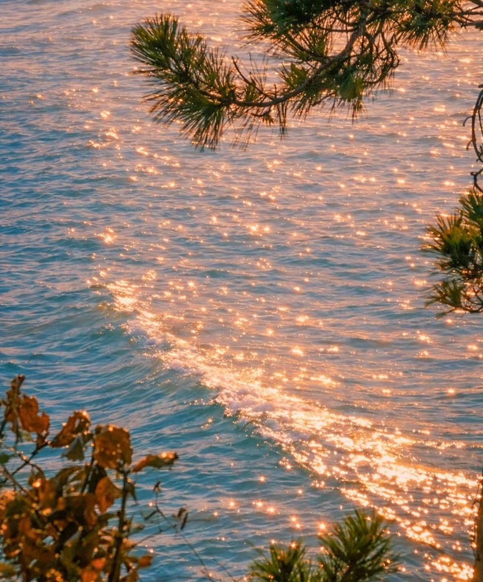 etheravibe's tweet photo. when the sun makes the water glitter https://t.co/547NEV3itA
