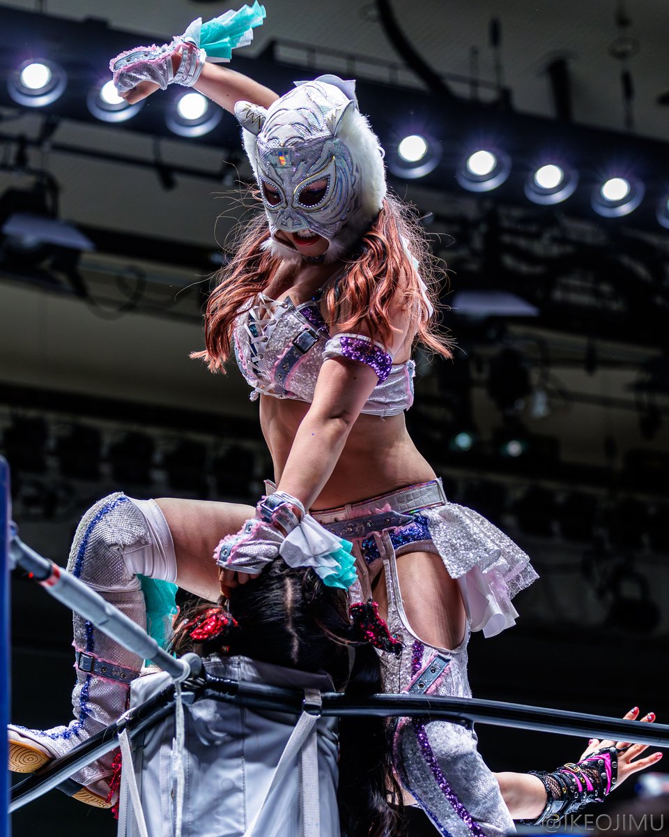 KINGDOM 当選者限定 希少マスク 世界一かわいいマスクのは？」🐯🩶 2026.7.8 後楽園ホール ＃STARDOM #SLK
