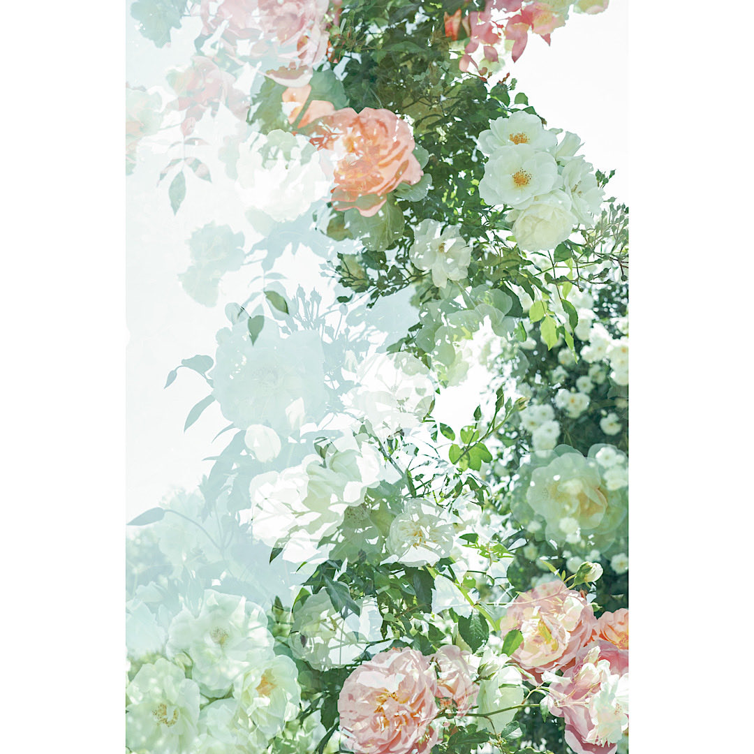 saoric0310's tweet photo. 『 Fortuna 』
.
.　　　　　　　　　　　　　
.
1/4
先日開催されたIsland Gallery の企画展に出展した4作品(新作3点+準新作1点)を紹介しています＊
こちらは運命・財運・幸運を司る女神フォルトゥナをイメージした作品です。
.
#荒井沙織 #LyricalPhoto
#art #artphoto 
#maruman #CansonInfinity https://t.co/TFoI4WGUnI