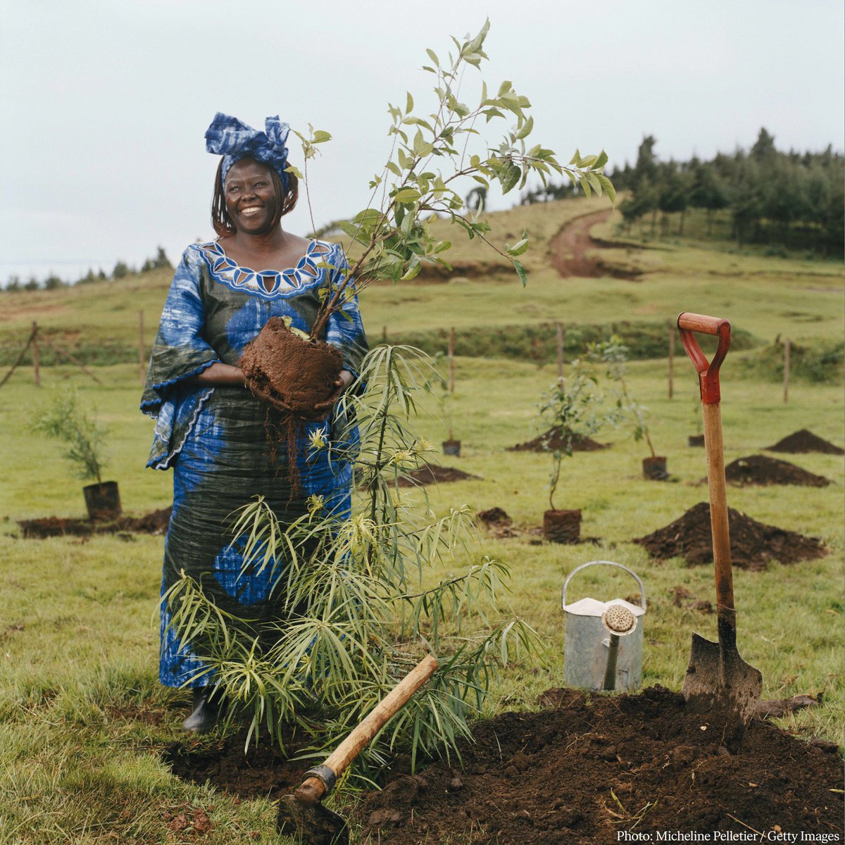 NobelPrize's tweet photo. “We are called to assist the earth, to heal her wounds, and in the process heal our own.”  

After becoming the first woman to earn a doctorate degree in East and Central Africa, Wangari Maathai started a movement that led to the planting of 50 million trees. https://t.co/eNAEUM1QtN